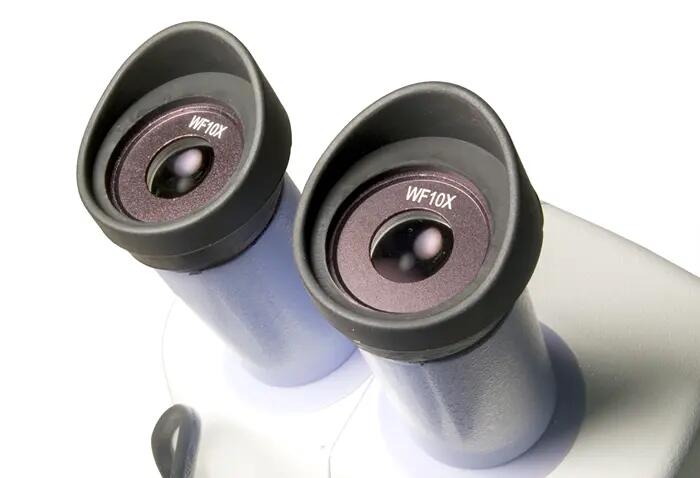 Microscopio stereo - Binoculare 20–40x - Levenhuk 5ST 6/6