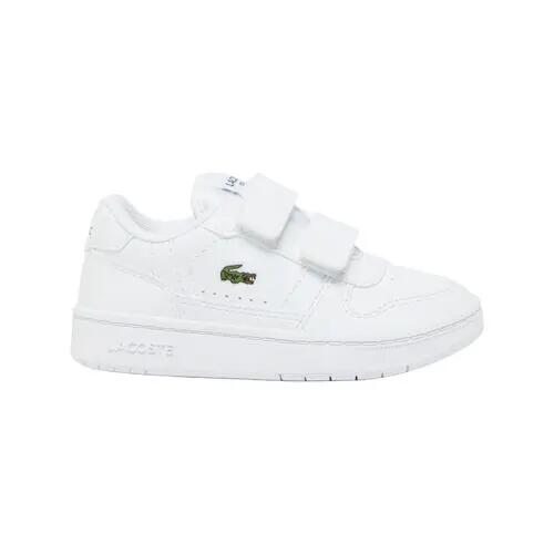 LACOSTE picture