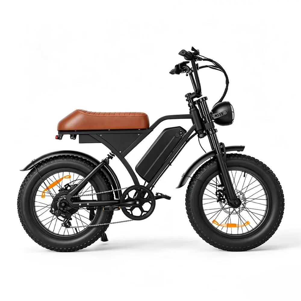 Vélo de ville électrique iScooter EB5Max 250W 748.8Wh 26-pouces 3/10