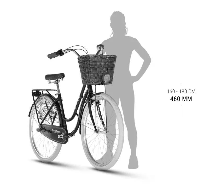 Vélo Kellys Arwen 3/3