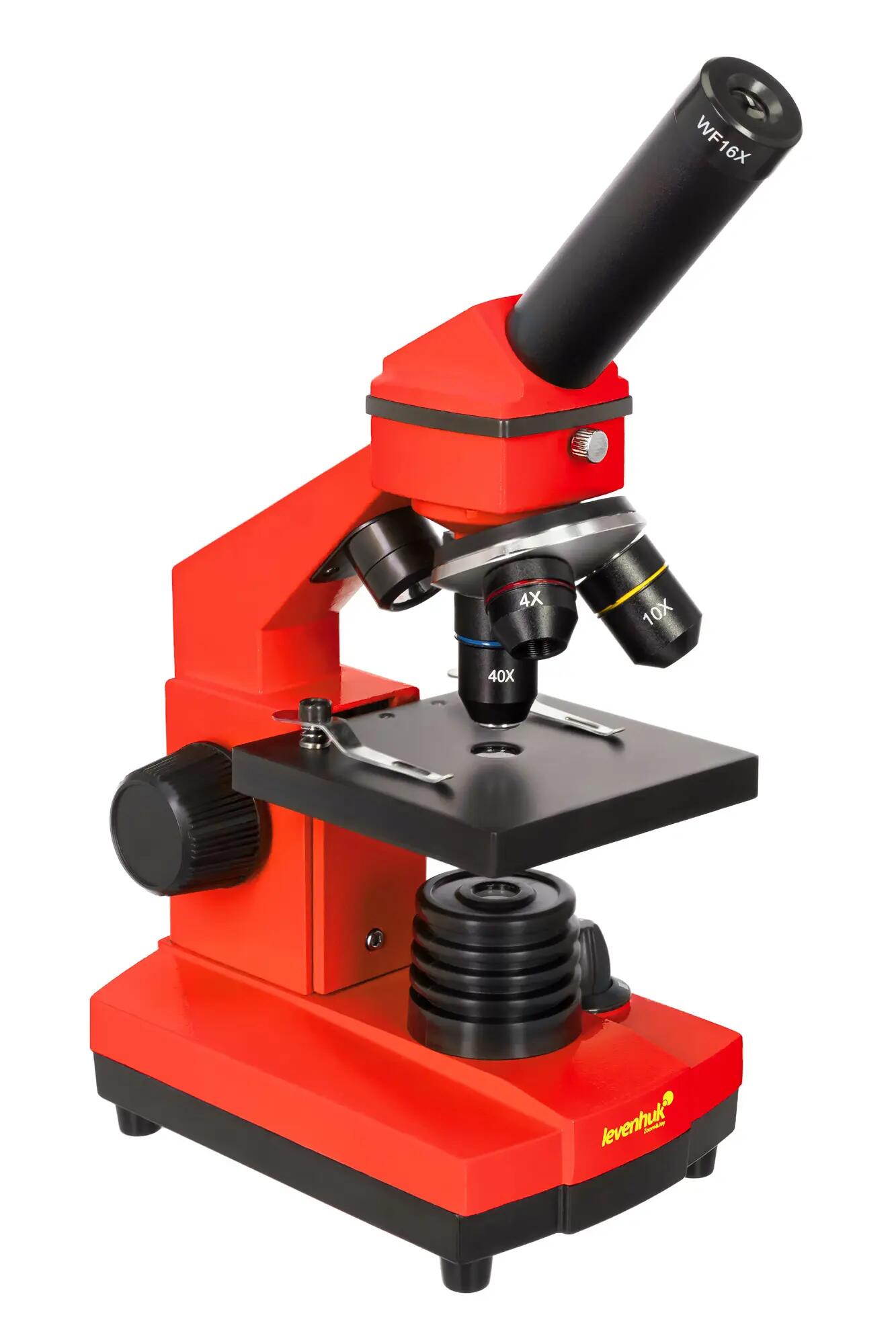 Microscopio educativo - 64-640x - Rainbow 2L PLUS 5/6