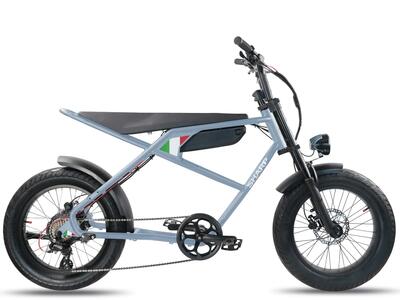Sharp moto elektrische fiets 14ah 7 speed fat 20 inch