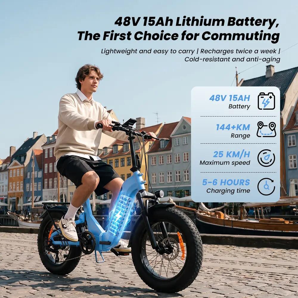 Elektrische fiets voor volwassenen iScooter EB8 48V 15Ah batterij 250W motor 9/15