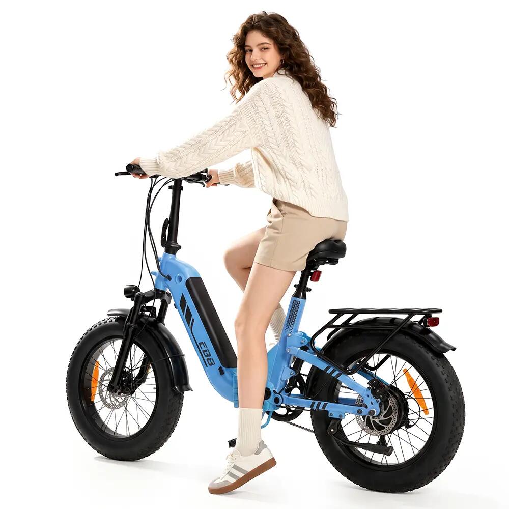 Elektrische fiets voor volwassenen iScooter EB8 48V 15Ah batterij 250W motor 6/15