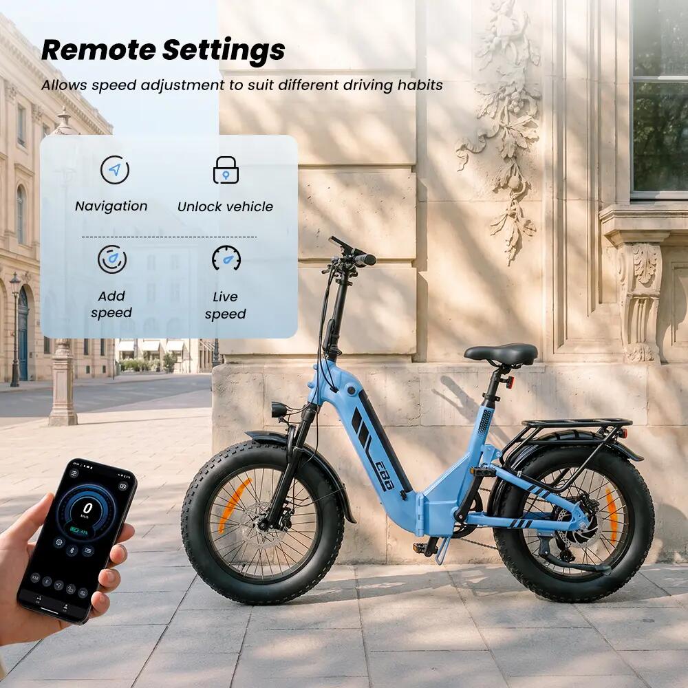 Elektrische fiets voor volwassenen iScooter EB8 48V 15Ah batterij 250W motor 14/15
