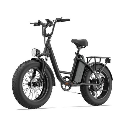 URLIFE E20 Pro elektrische fiets met 48V 15,6 Ah-accu en 20x4-banden
