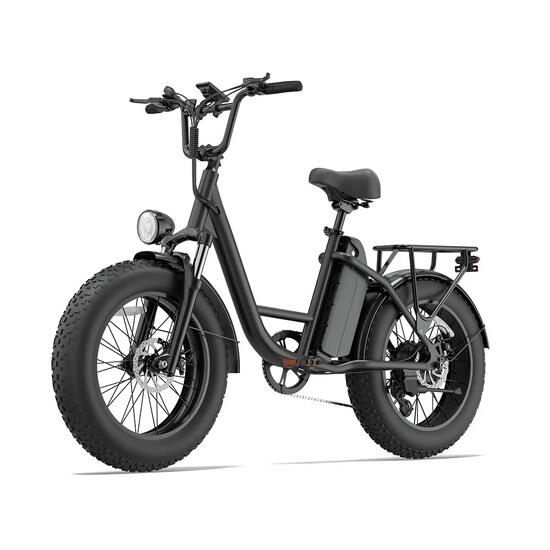 URLIFE E20 Pro elektrische fiets met 48V 15,6 Ah-accu en 20x4-banden