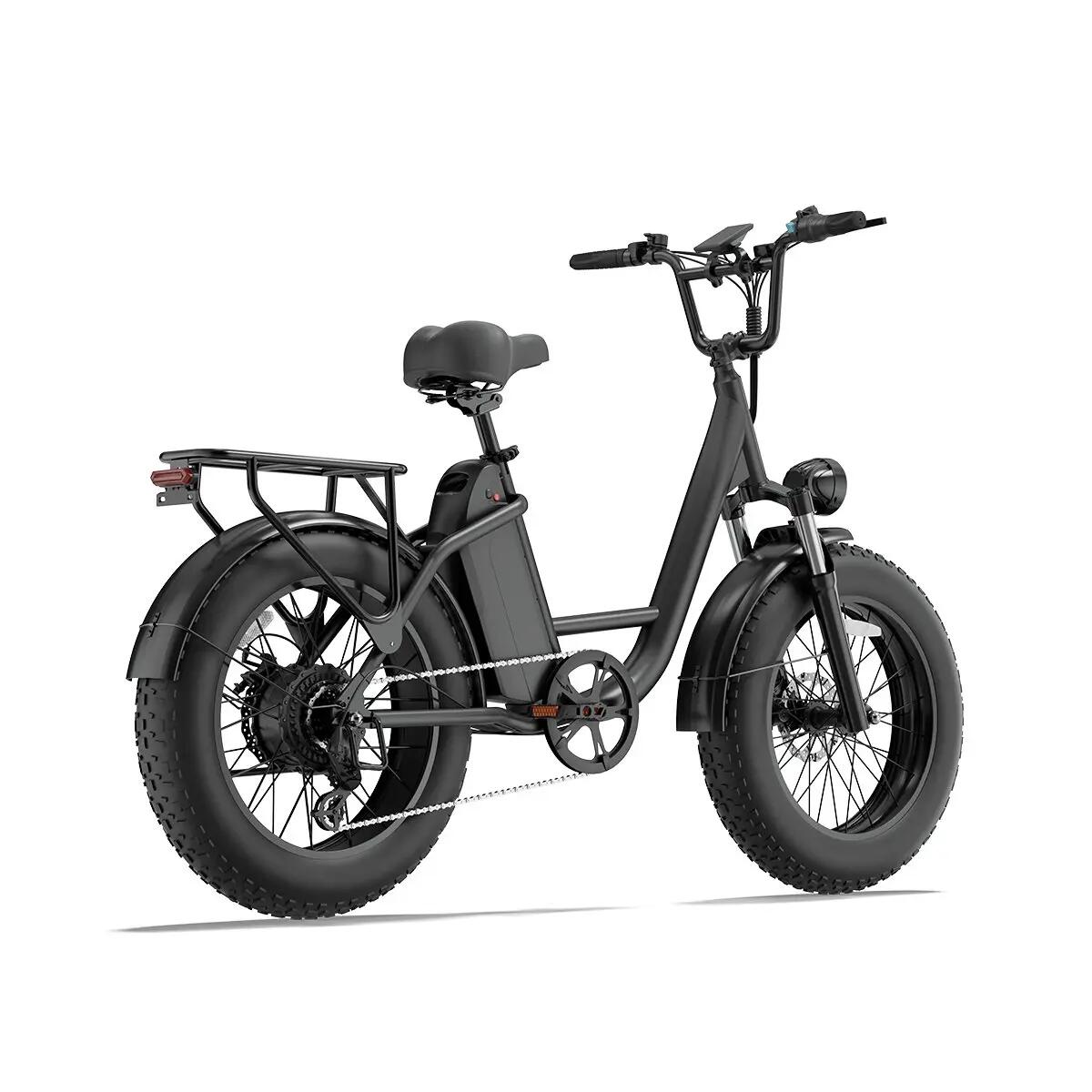 Bicicletta elettrica URLIFE E20 Pro con batteria da 48V 15.6Ah, pneumatici 20x4 4/6