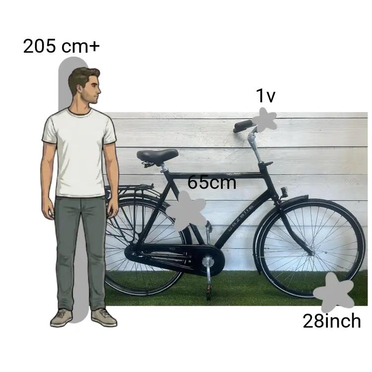 Bicicletta usata Gazelle Xanta 2/4