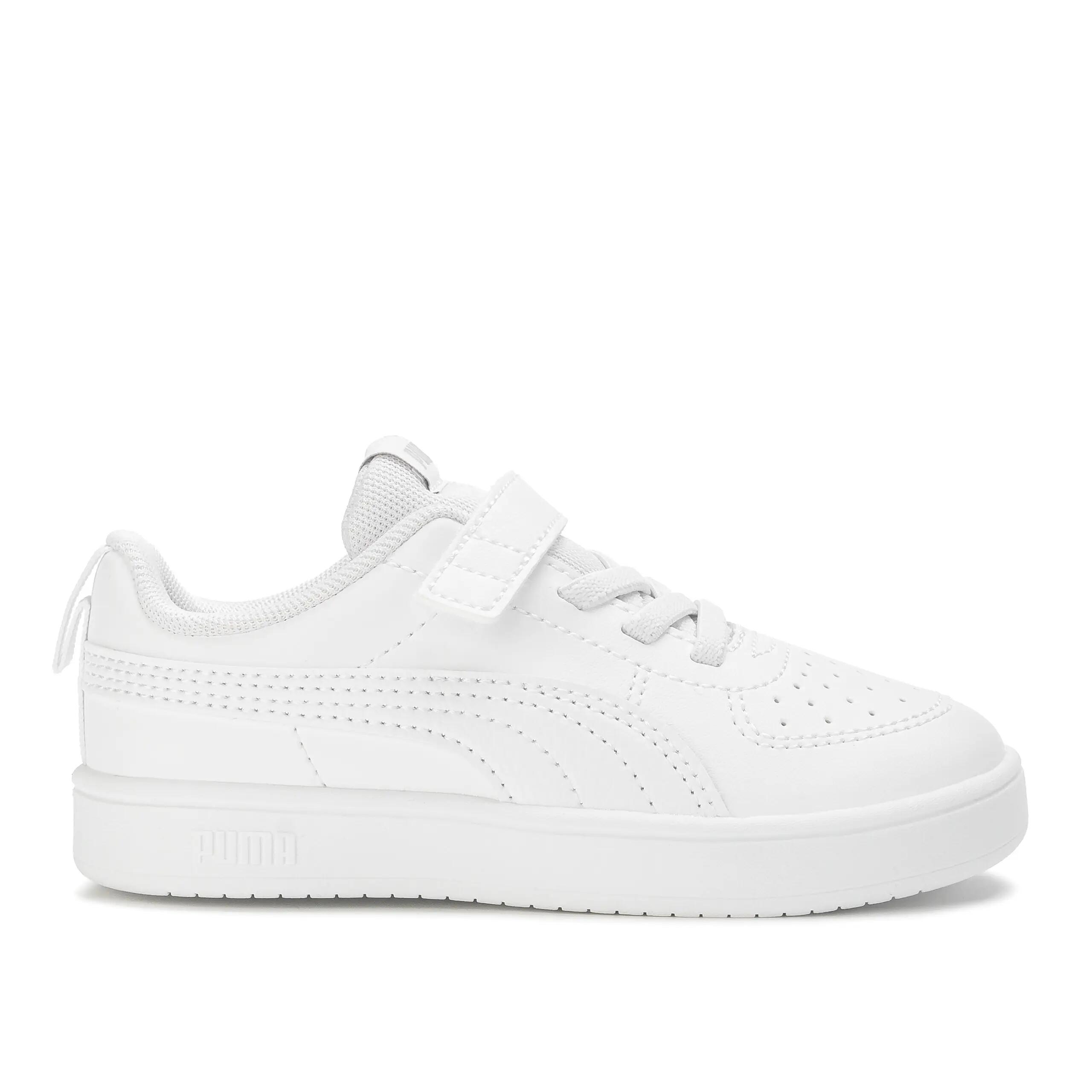 PUMA picture