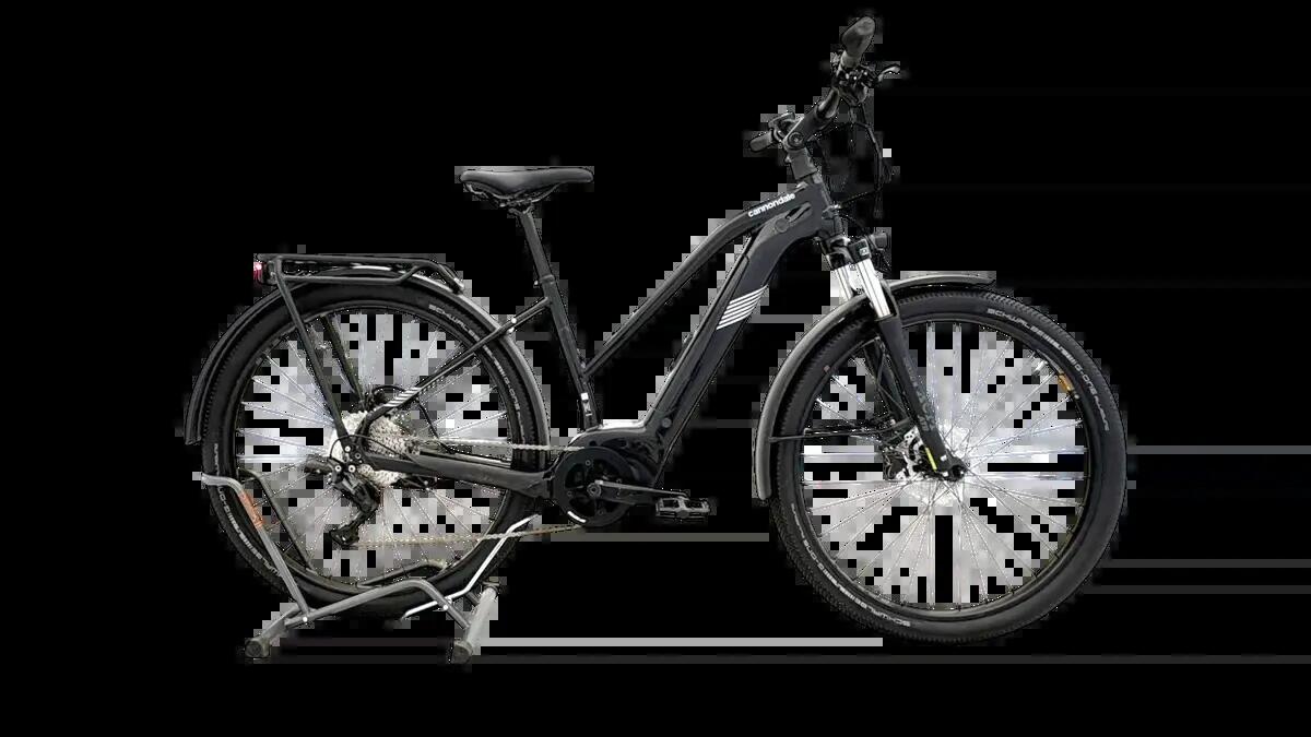 CANNONDALE picture