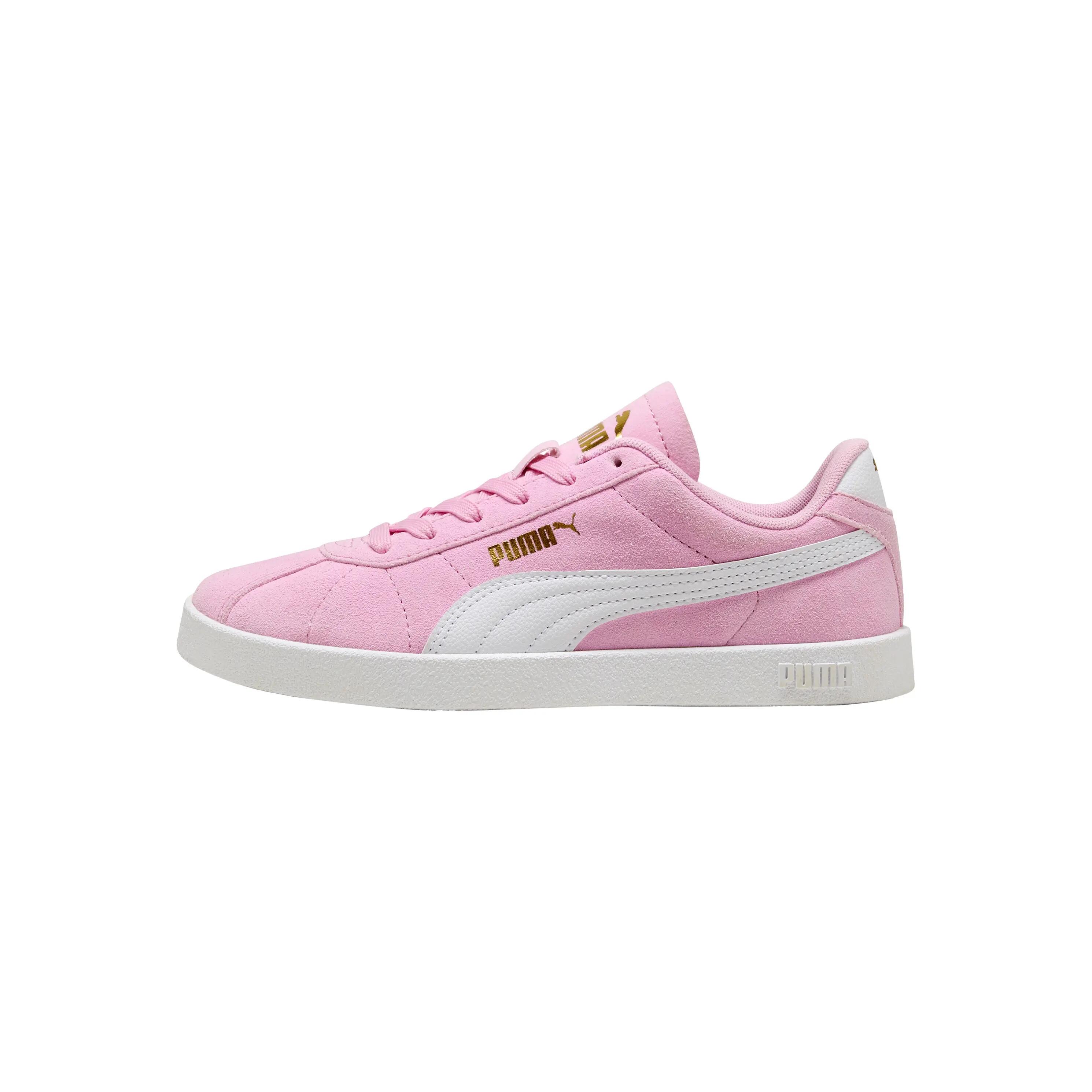 PUMA picture