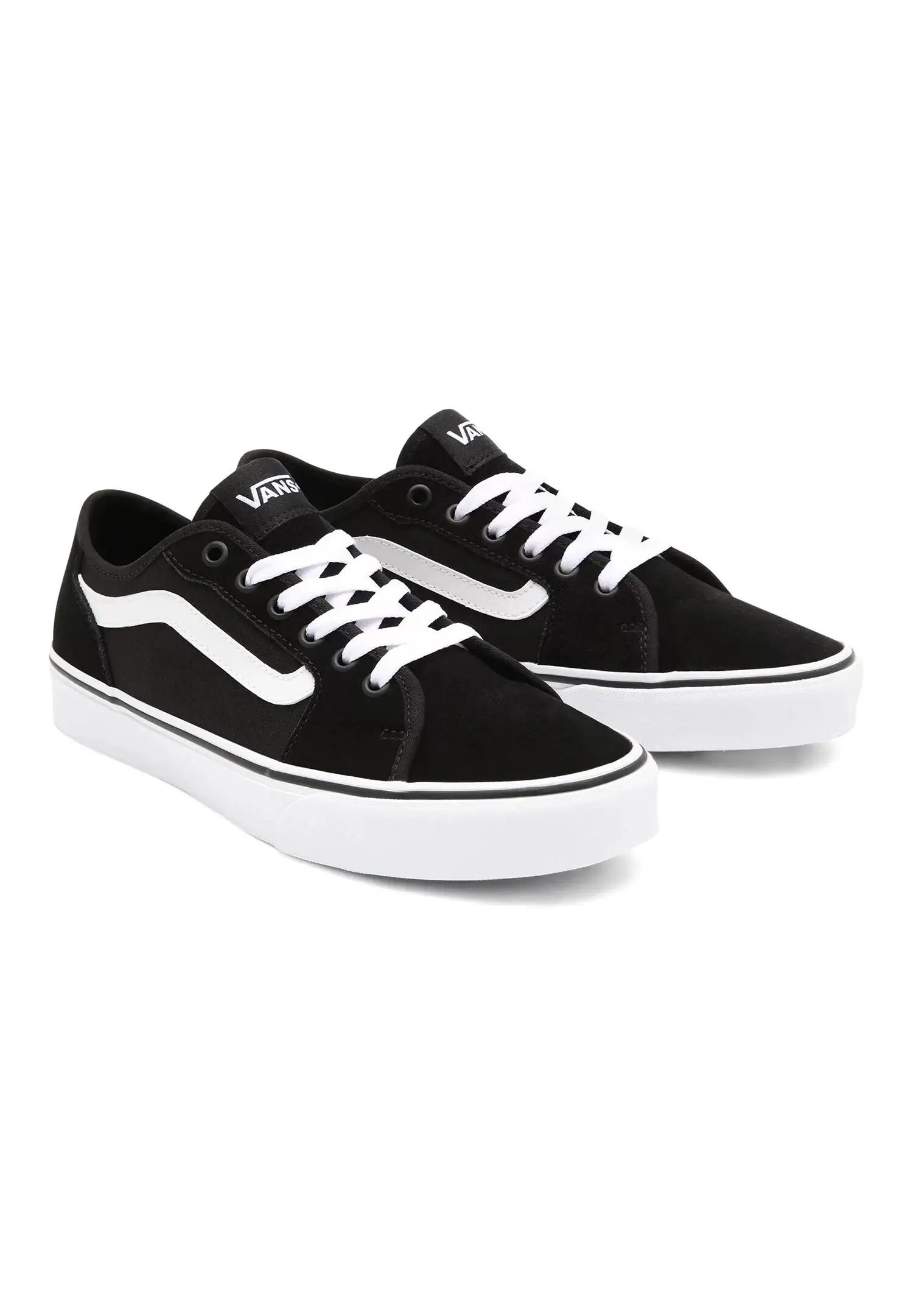 VANS picture