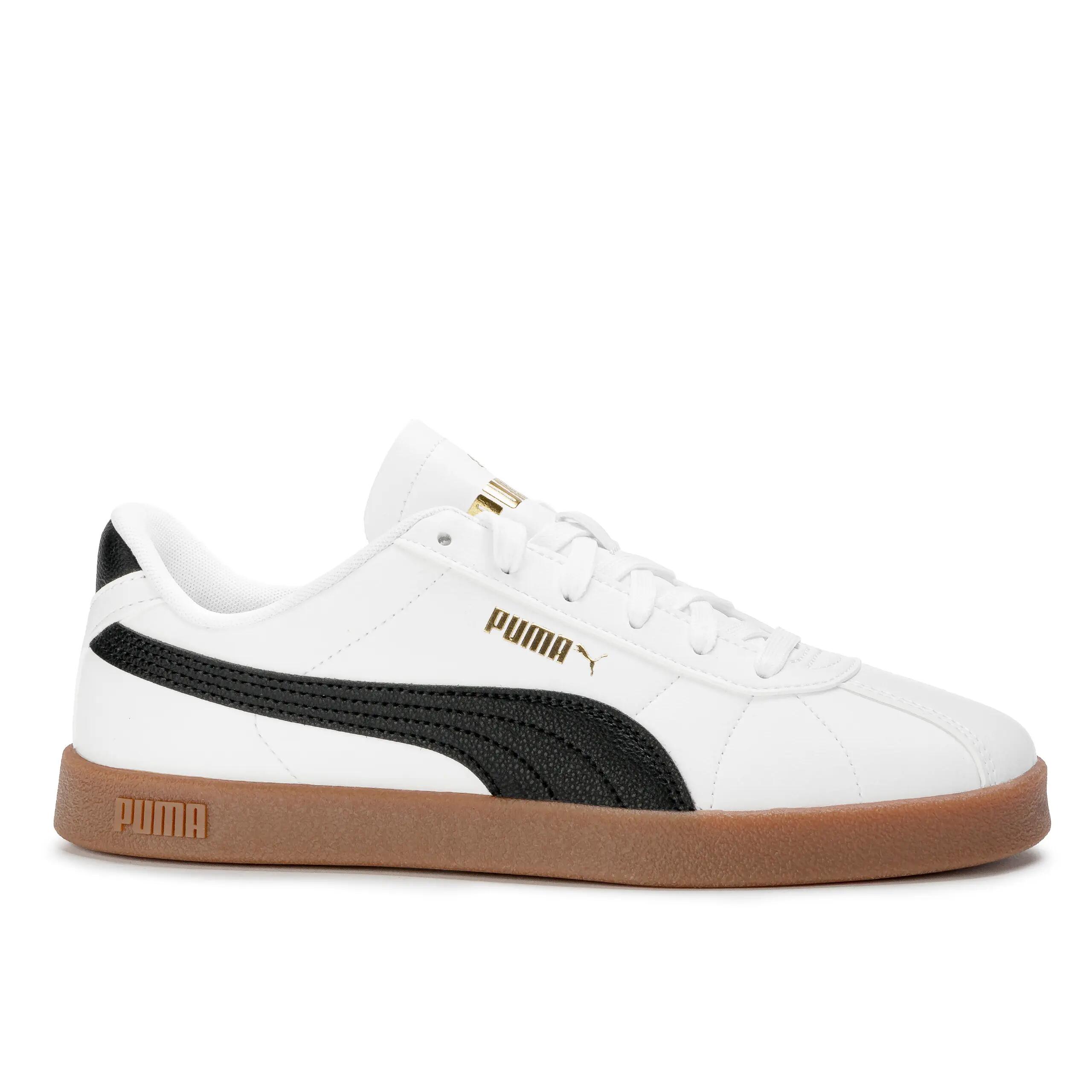 PUMA picture