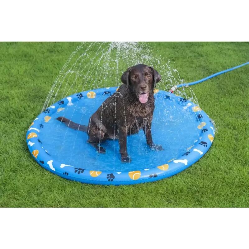 Bestway 52699 Fetchin' Fun Evcil Hayvan İçin Su Oyun Matı