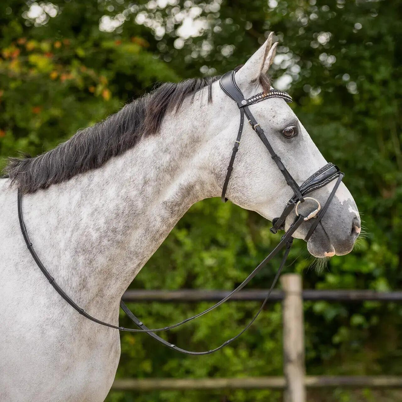 Frontal para cavalo QHP Skye 7/7