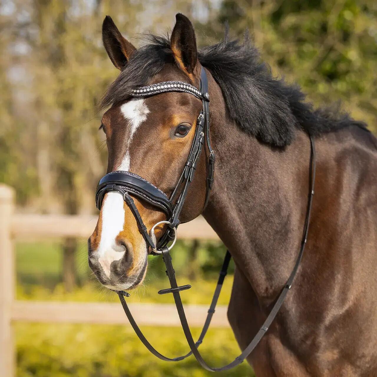 Frontal para cavalo QHP Skye 6/7