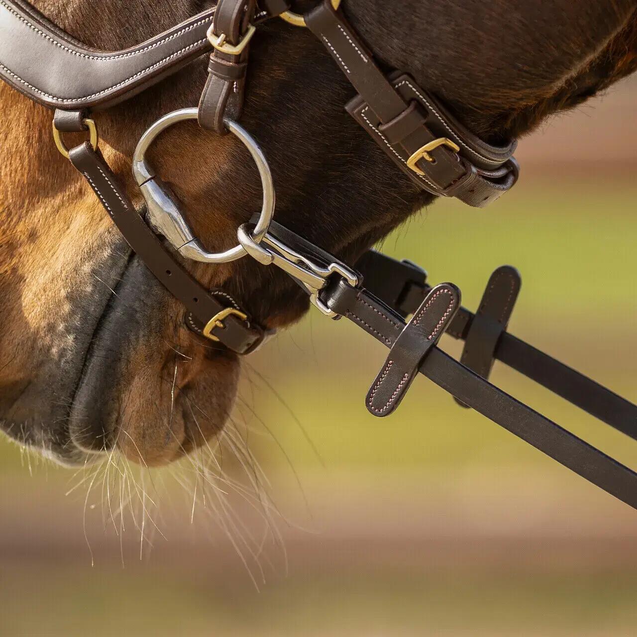 Reins de cavalo de couro antiderrapantes unilateral com clip QHP 2/2