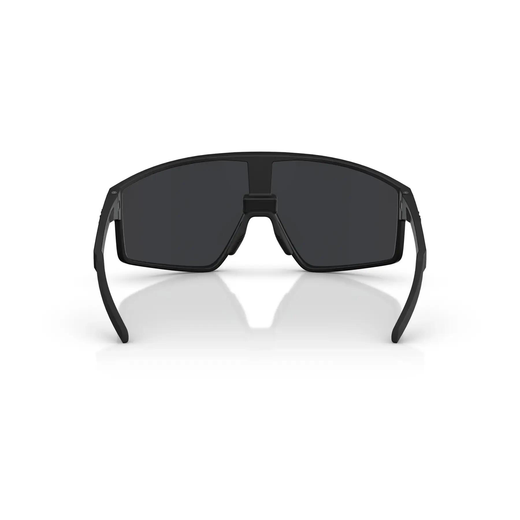 Gafas de sol Bliz P002 4/6
