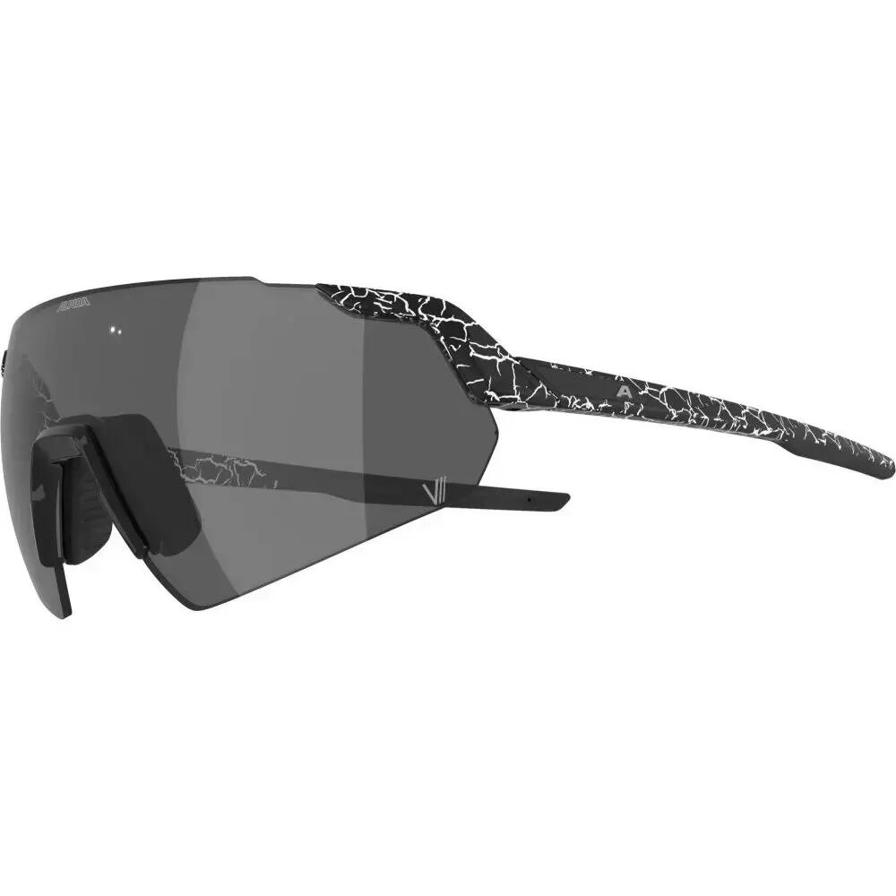 Gafas de sol Alpina Turbo Air V 2/5