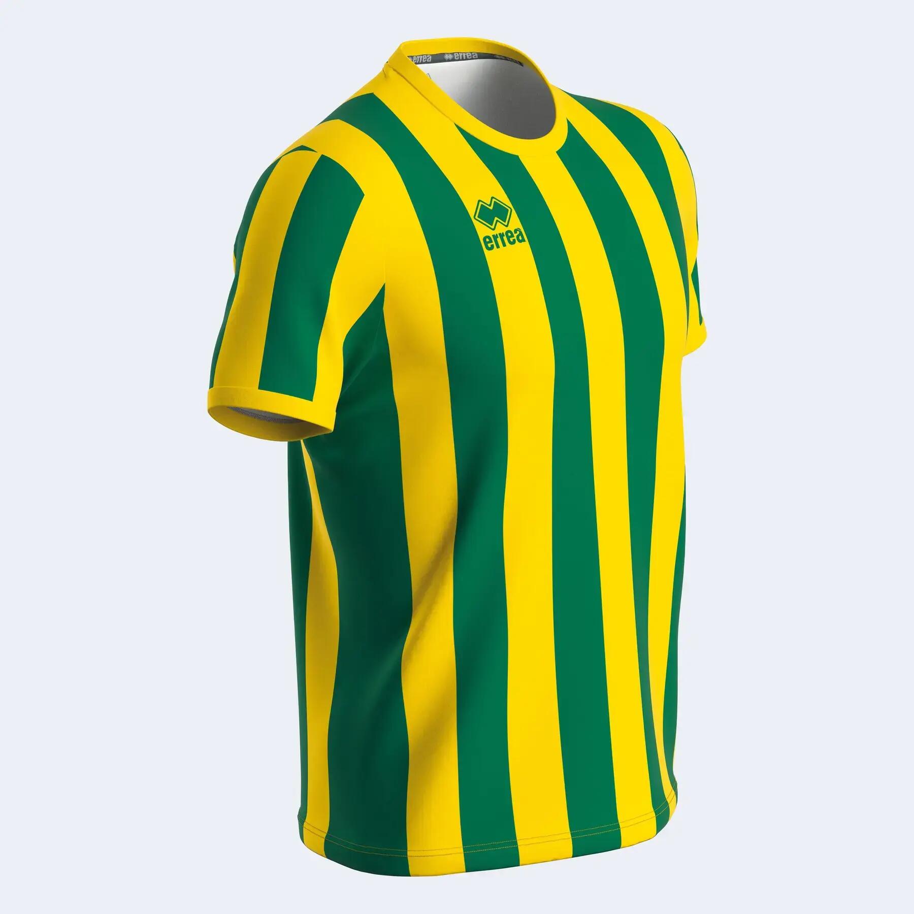 Camisola Errea Strip 3/5
