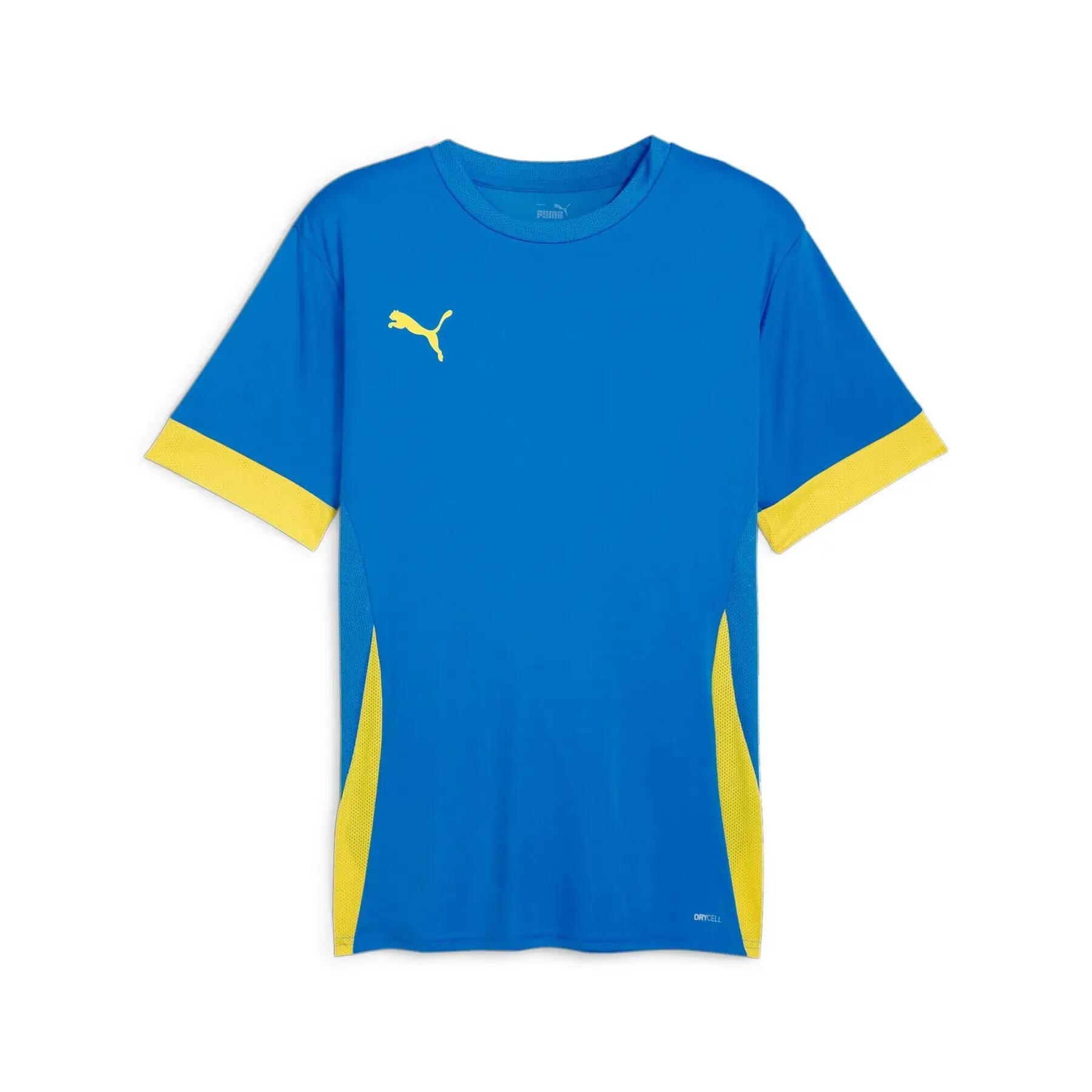 PUMA picture