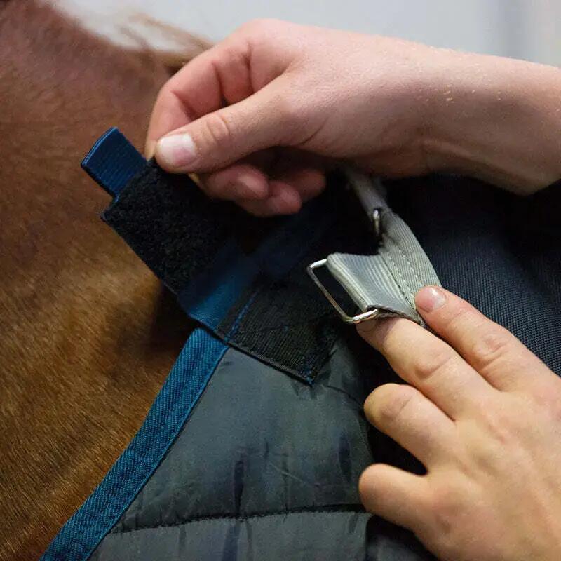 Horseware Unterbett 6/6