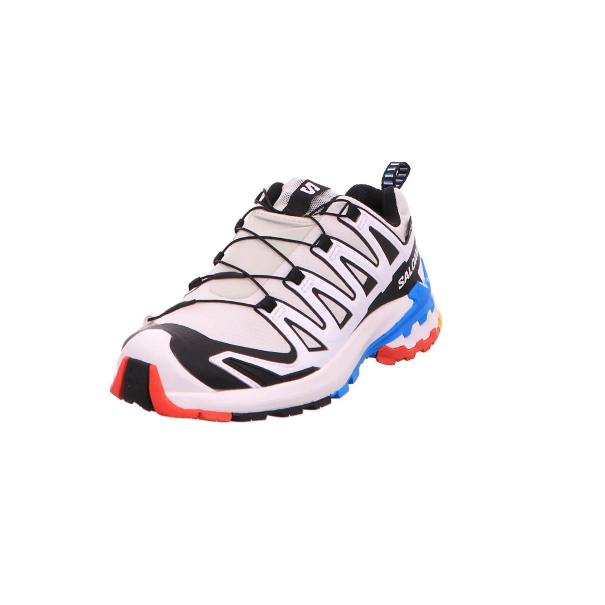 SALOMON picture
