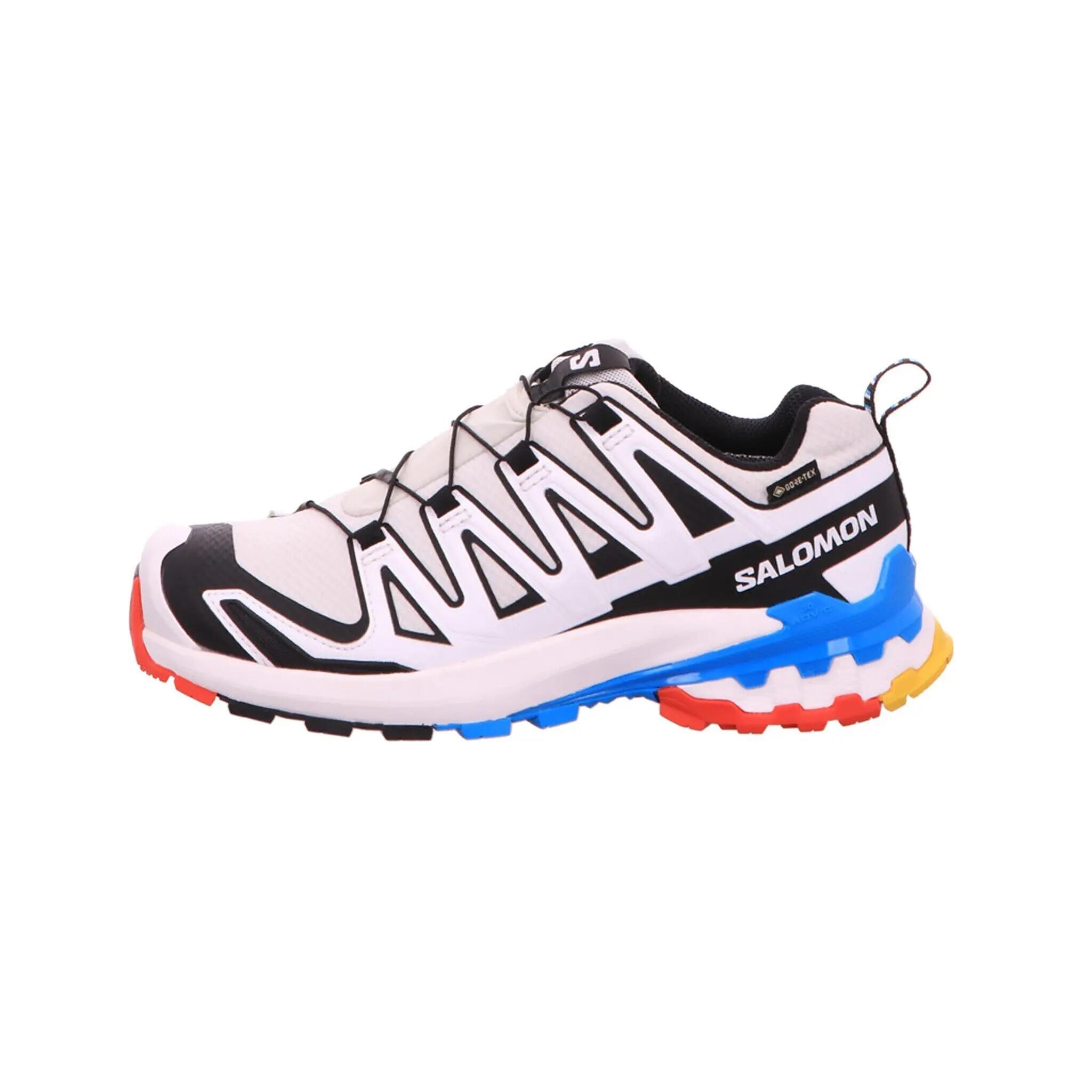 Outdoorschuhe XA PRO 3D V9 GTX 4/7