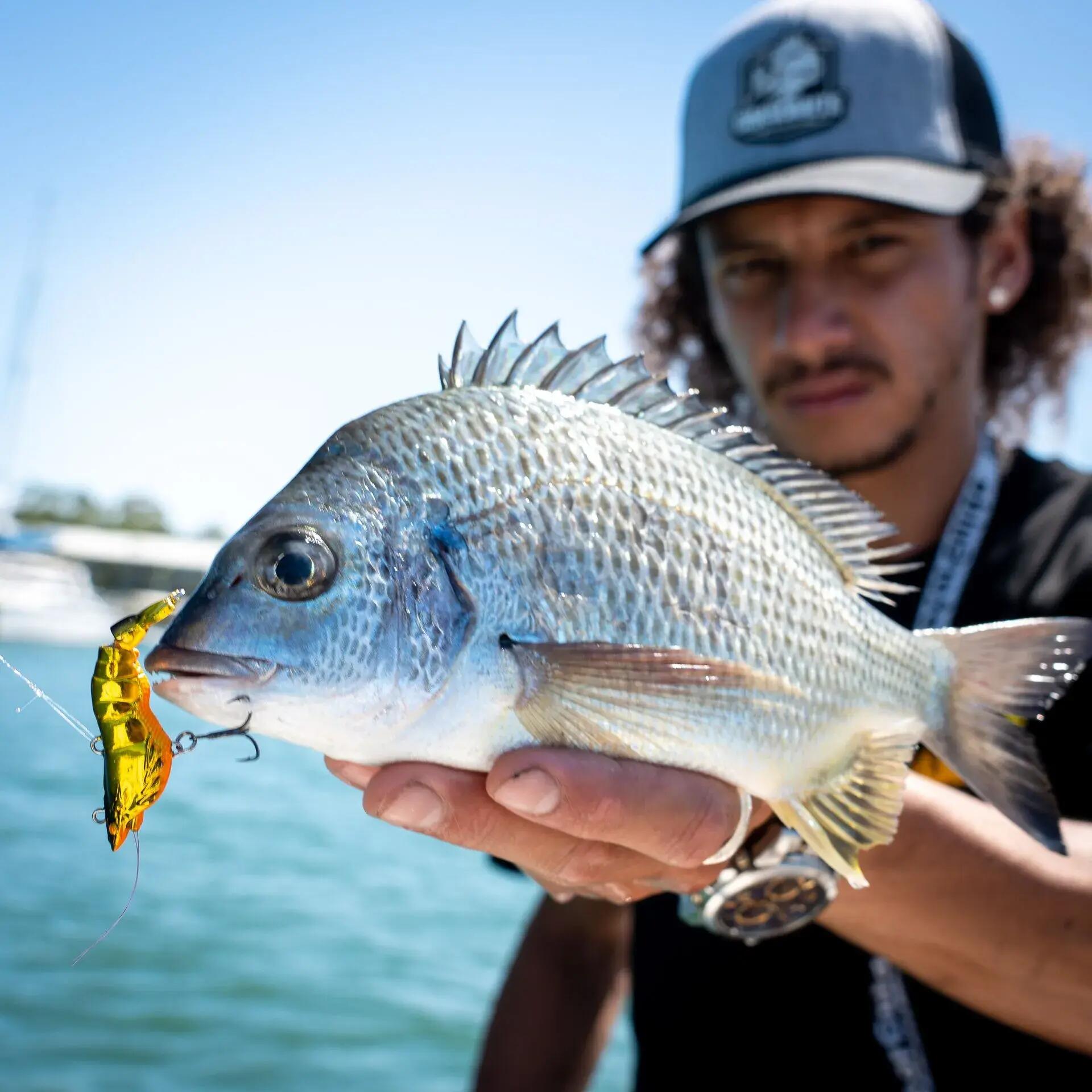 Wobbler - Drunken Mullet – 9.5cm – Blue Bait 2/4