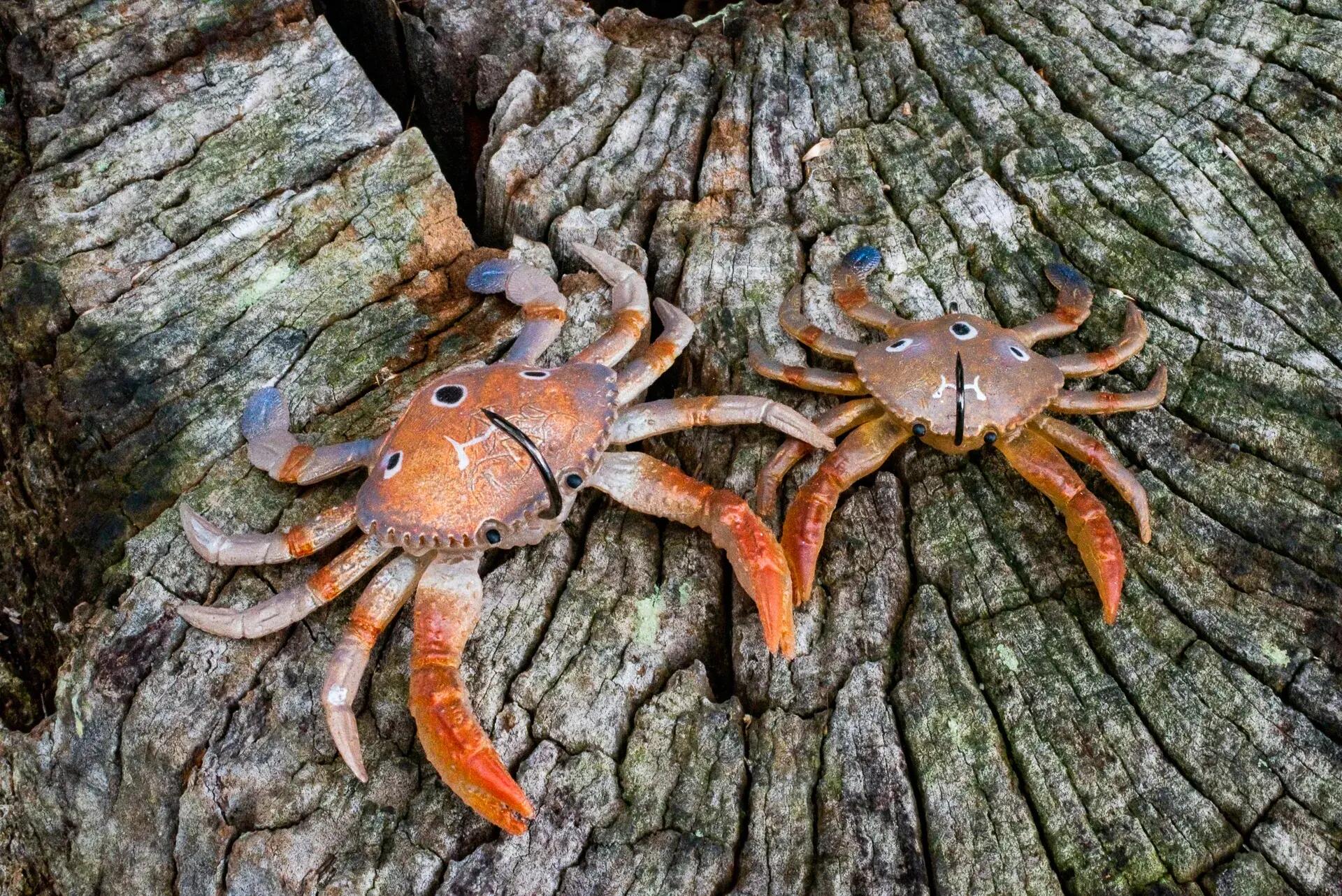 Leurre souple - Chasebaits - Smash Crab (10 cm) (Atlantic bleu) 2/3