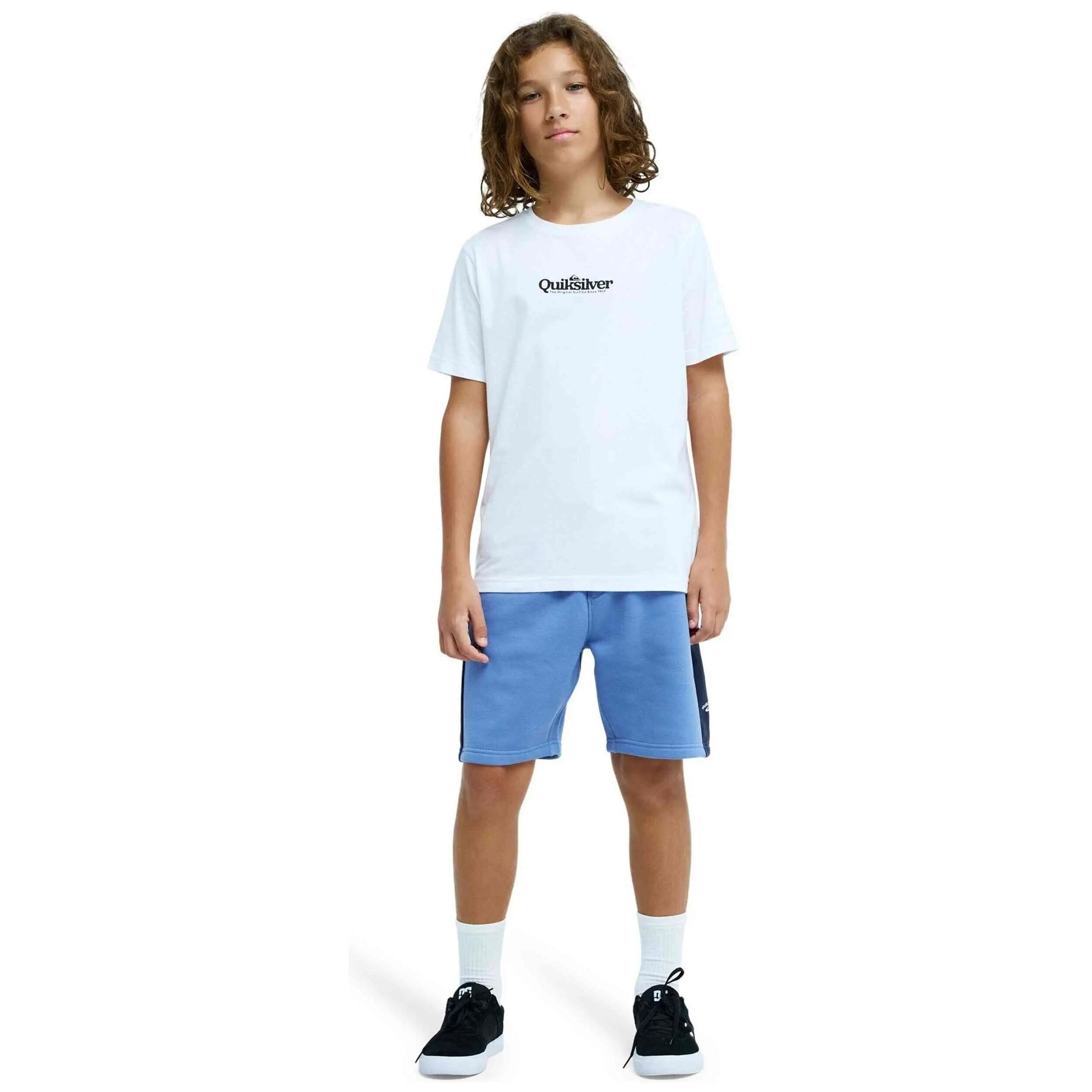 Calções Quiksilver modelo KNOWLEDGE AREA (BLC0) para crianças 5/5