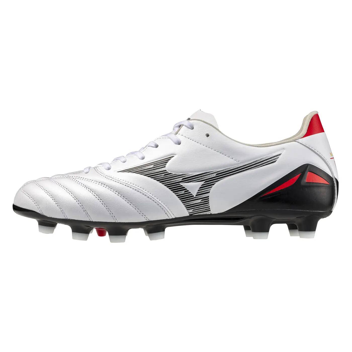 MIZUNO picture