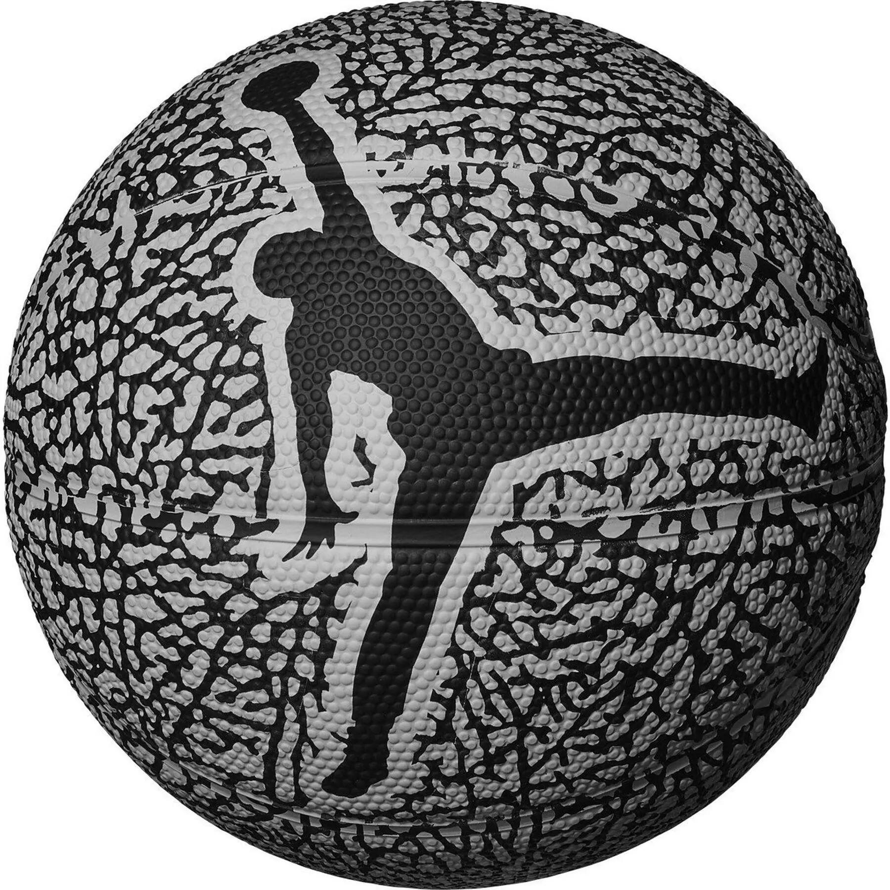 Nike Air Jordan Graphic Art Rubber Basketball