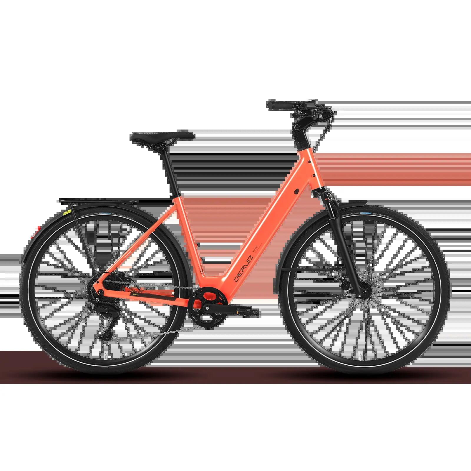 Turmali Comfort E-bike 250 W 40 Nm, Shimano a 9 velocità, 360 Wh 3/8
