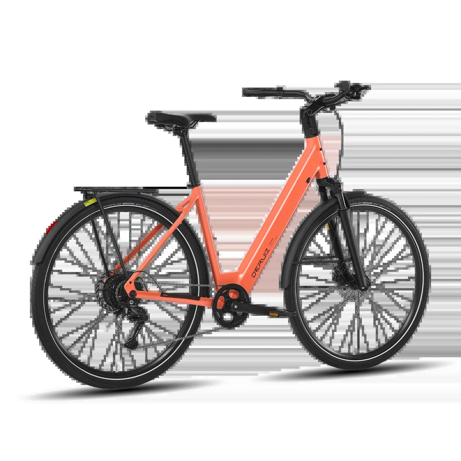 Turmali Comfort E-bike 250 W 40 Nm, Shimano a 9 velocità, 360 Wh 2/8