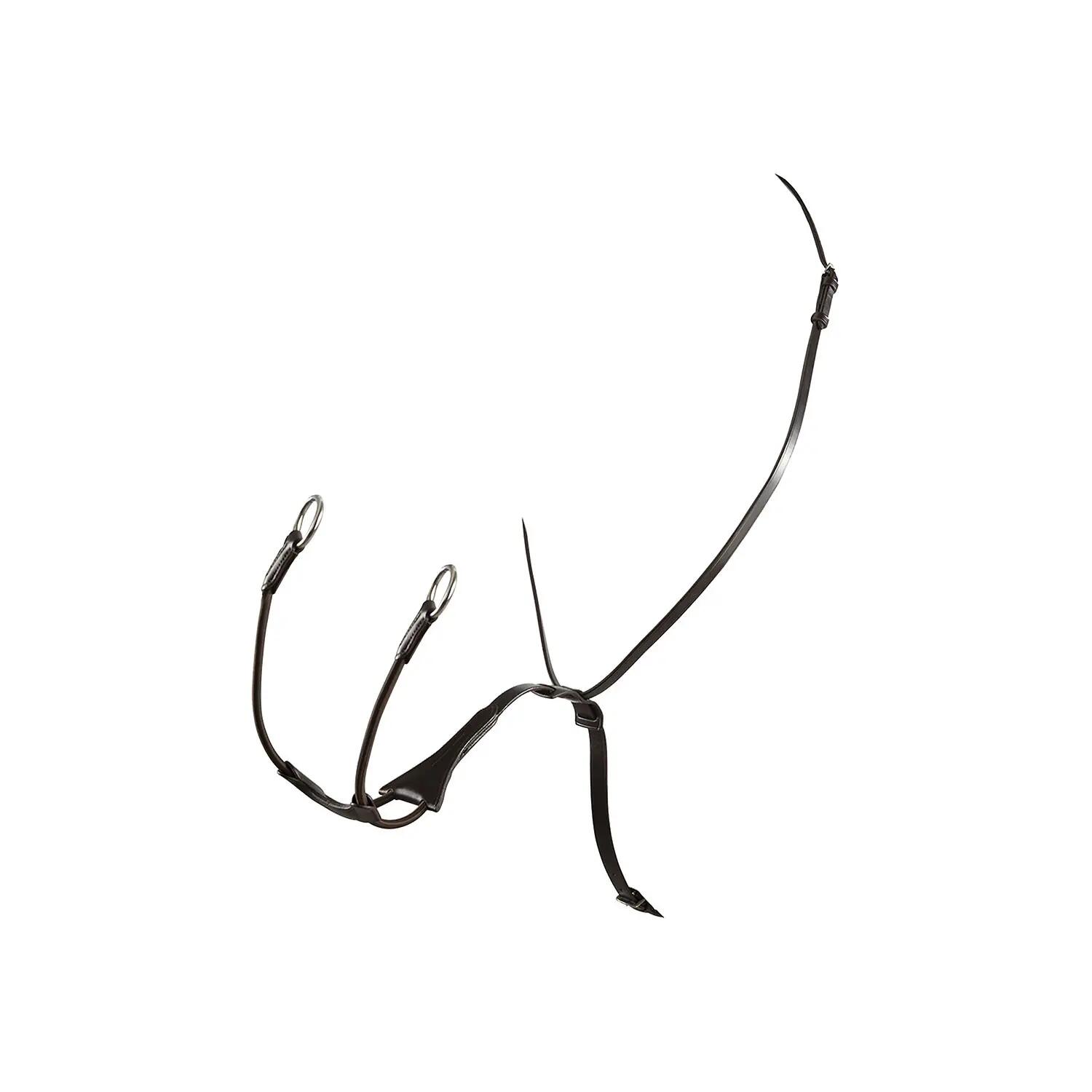 EQUESTRO picture