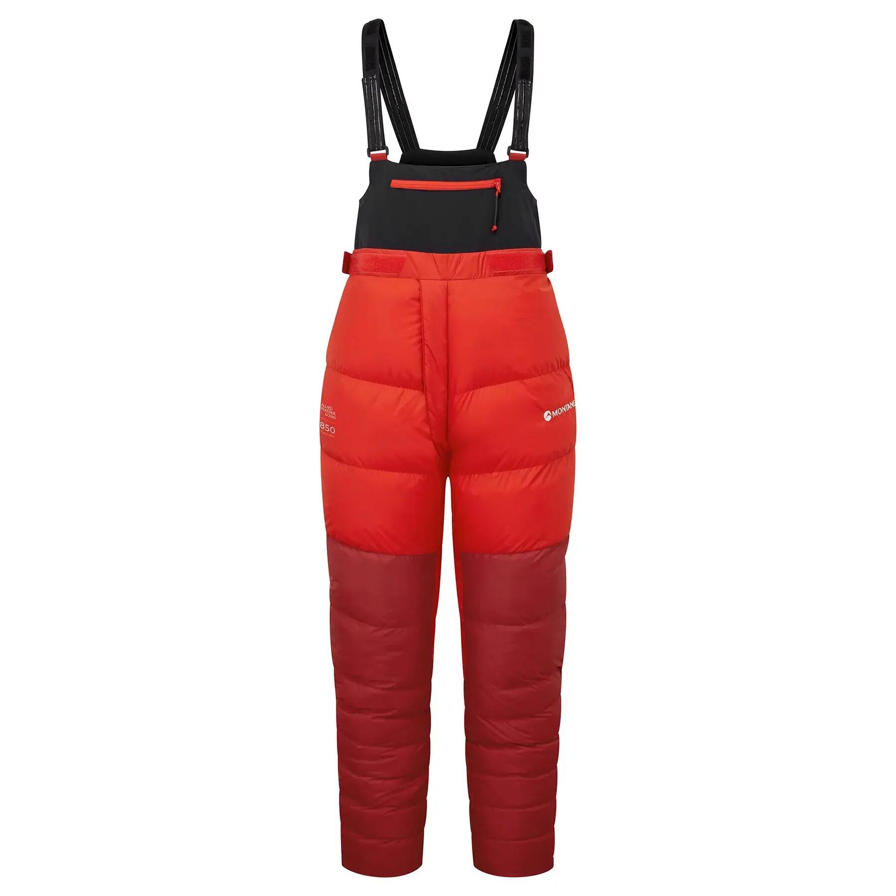 MONTANE picture