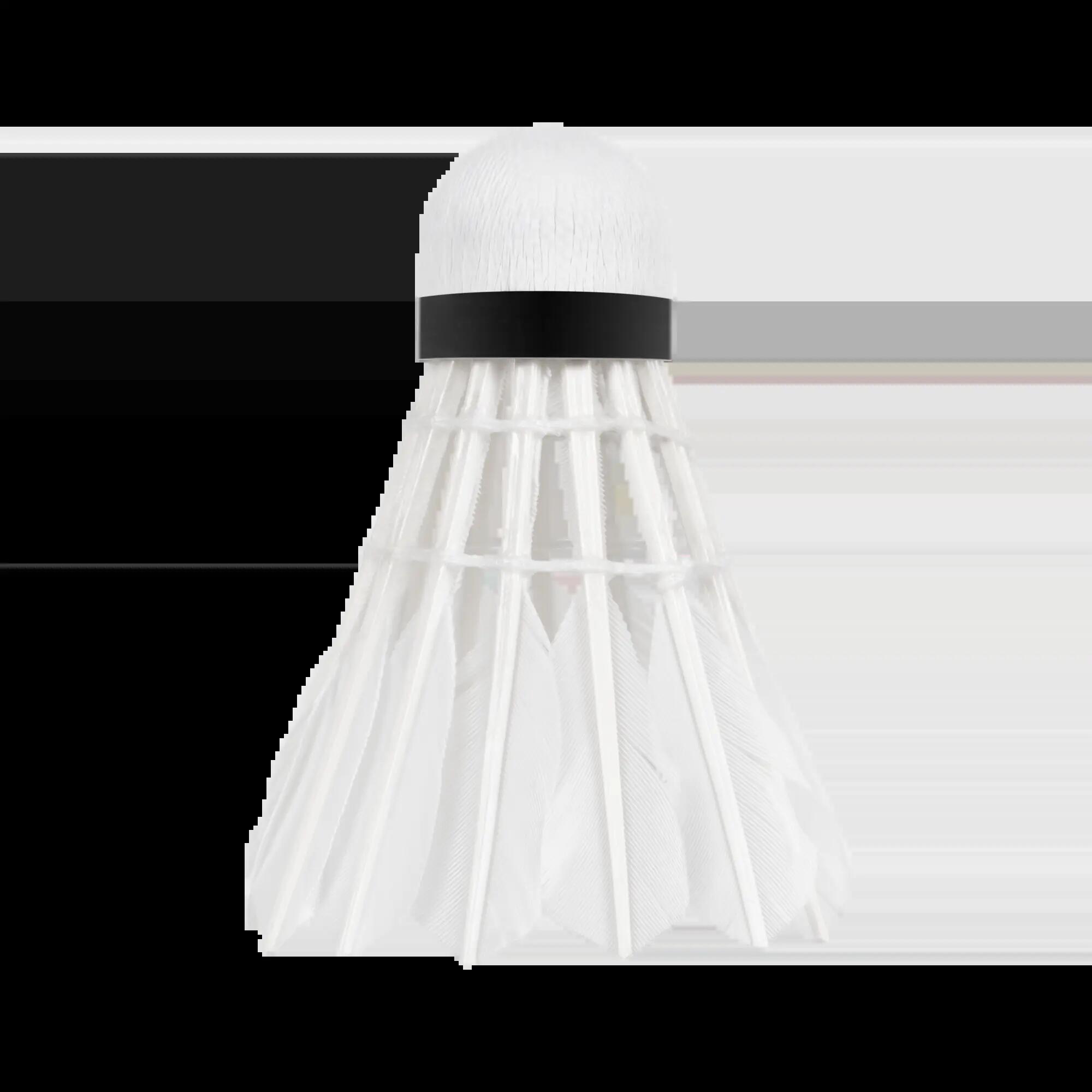 Badminton Gänsefeder Darts Klasse 2/3 Rohr 6pcs Rebel 2/4