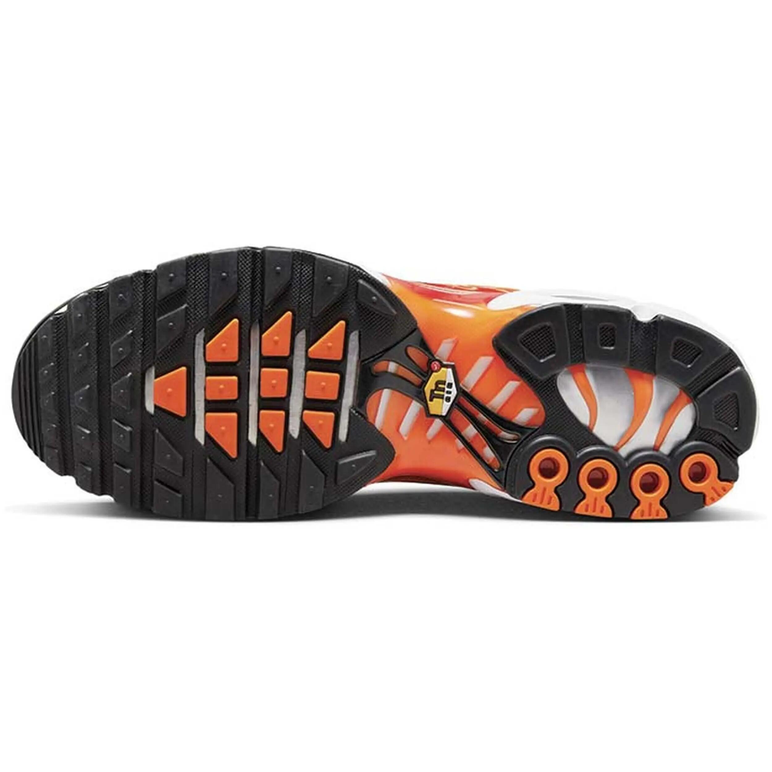 Nike Air Max Plus - Light Photography 5/5