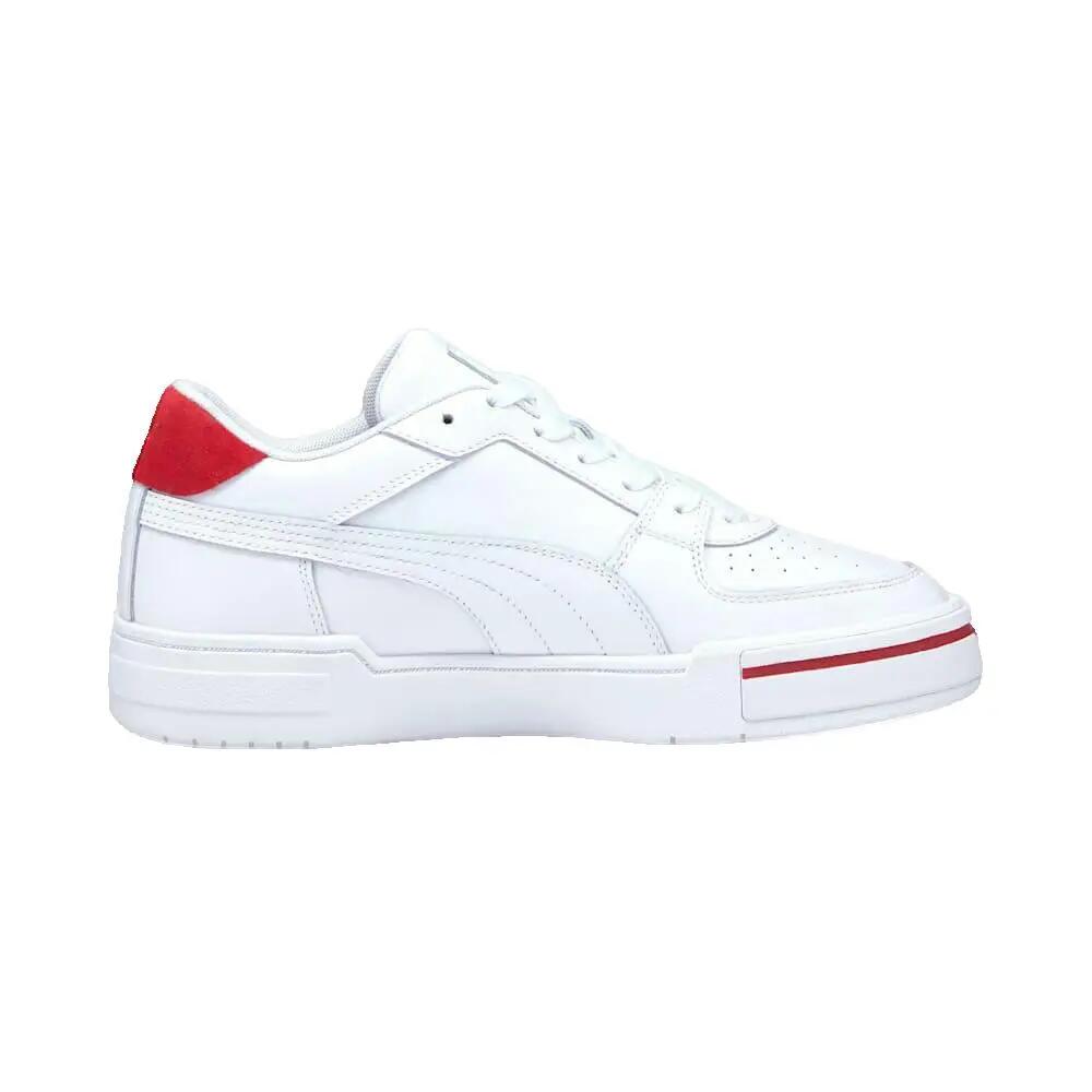 PUMA picture