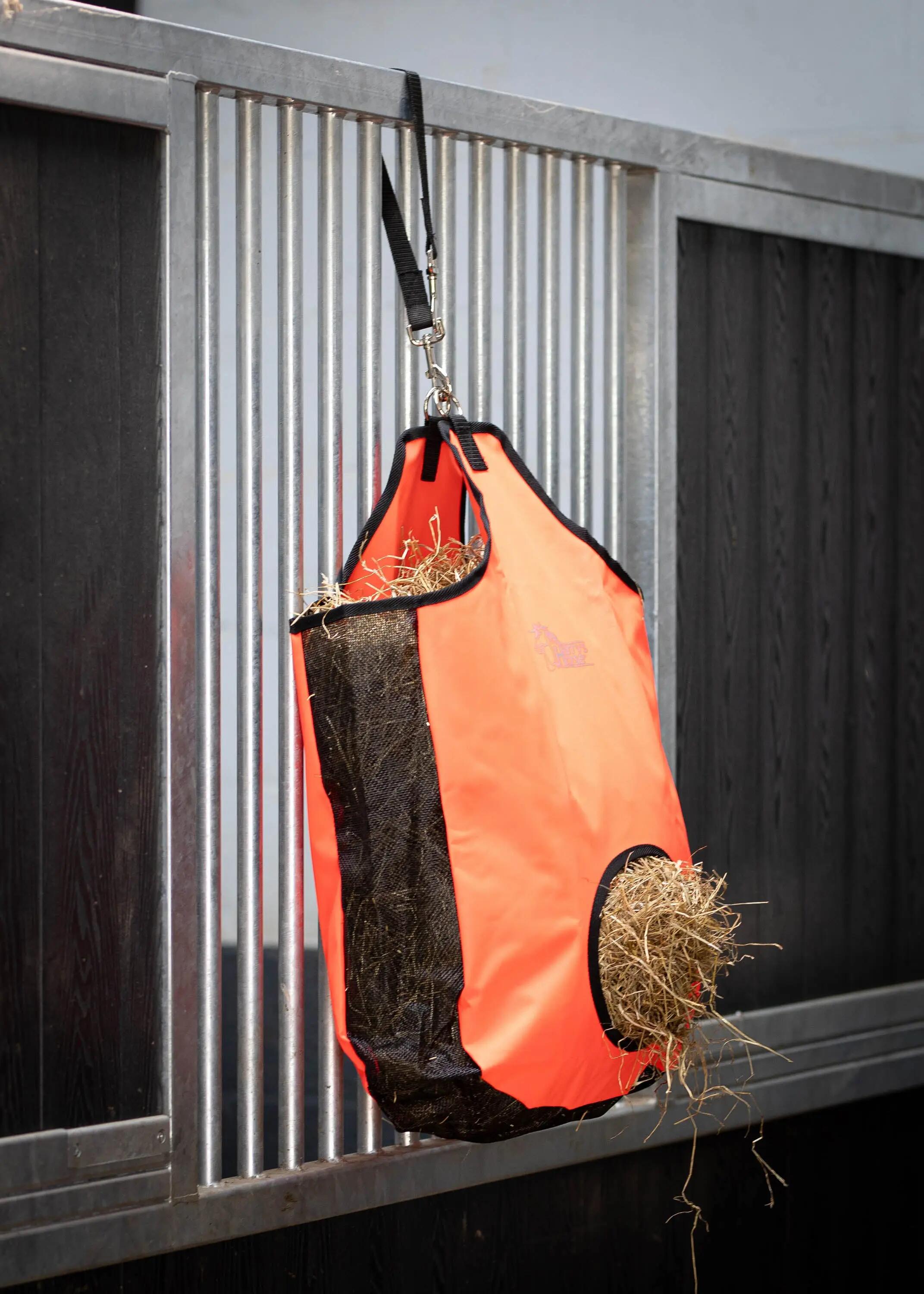 HARRYS HORSE picture