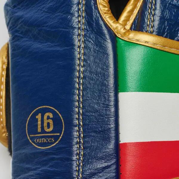 Boxhandschuhe Leone Italy 9/11