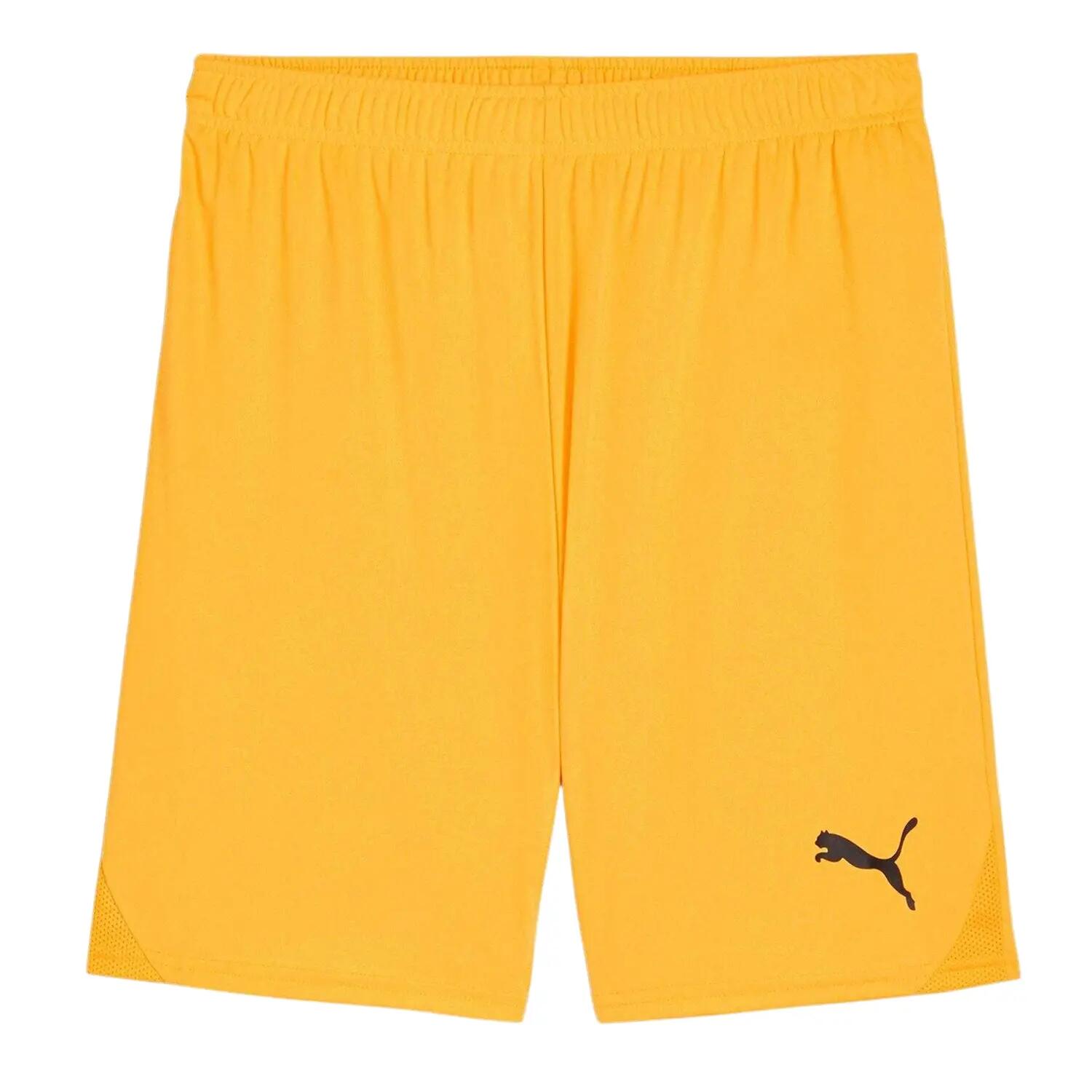 Puma Mens Team Goal Football Shorts