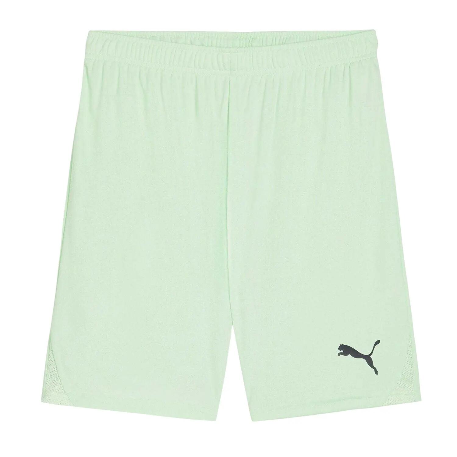 Puma Mens Team Goal Football Shorts