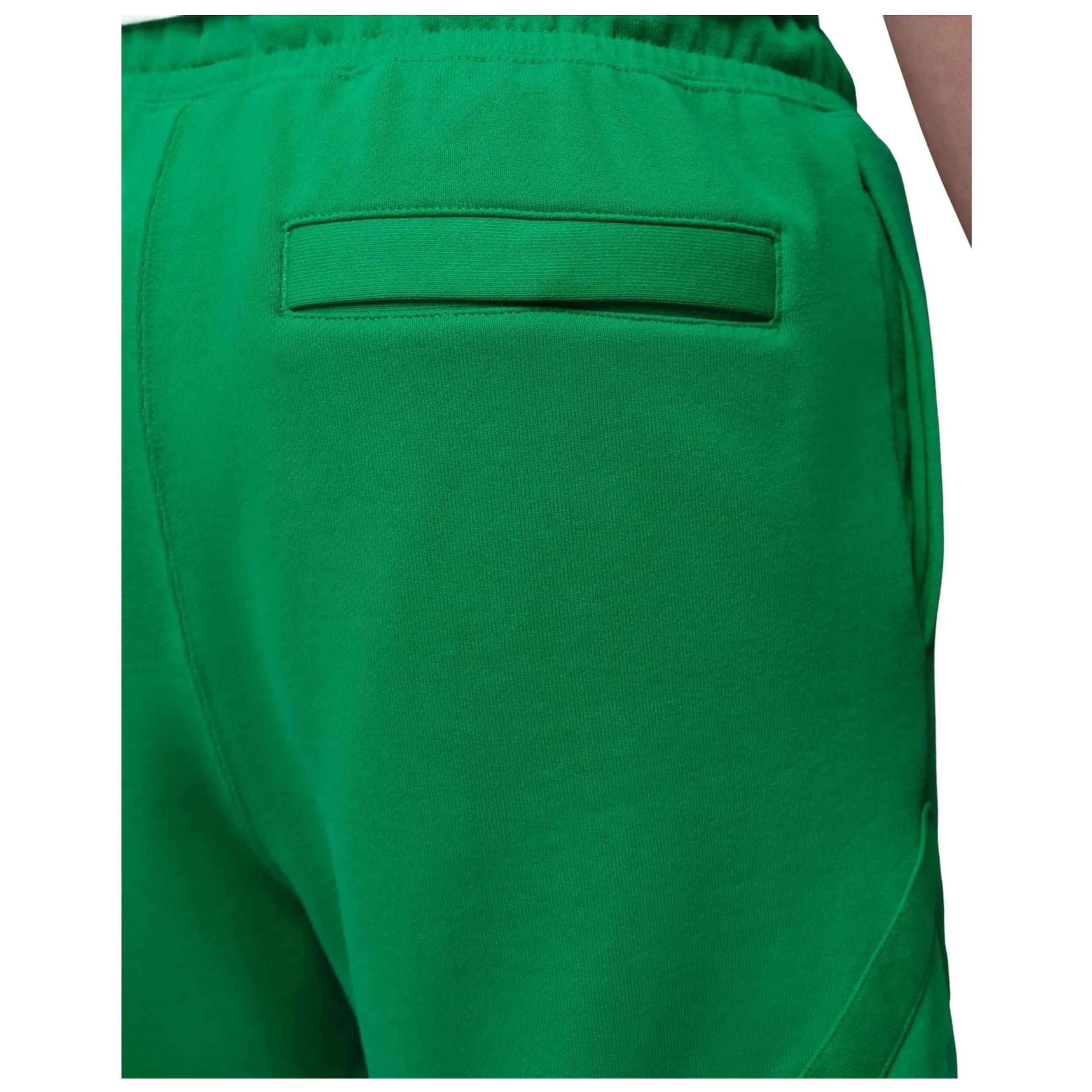 Calções Jordan modelo FV7257-310 para homem 5/5