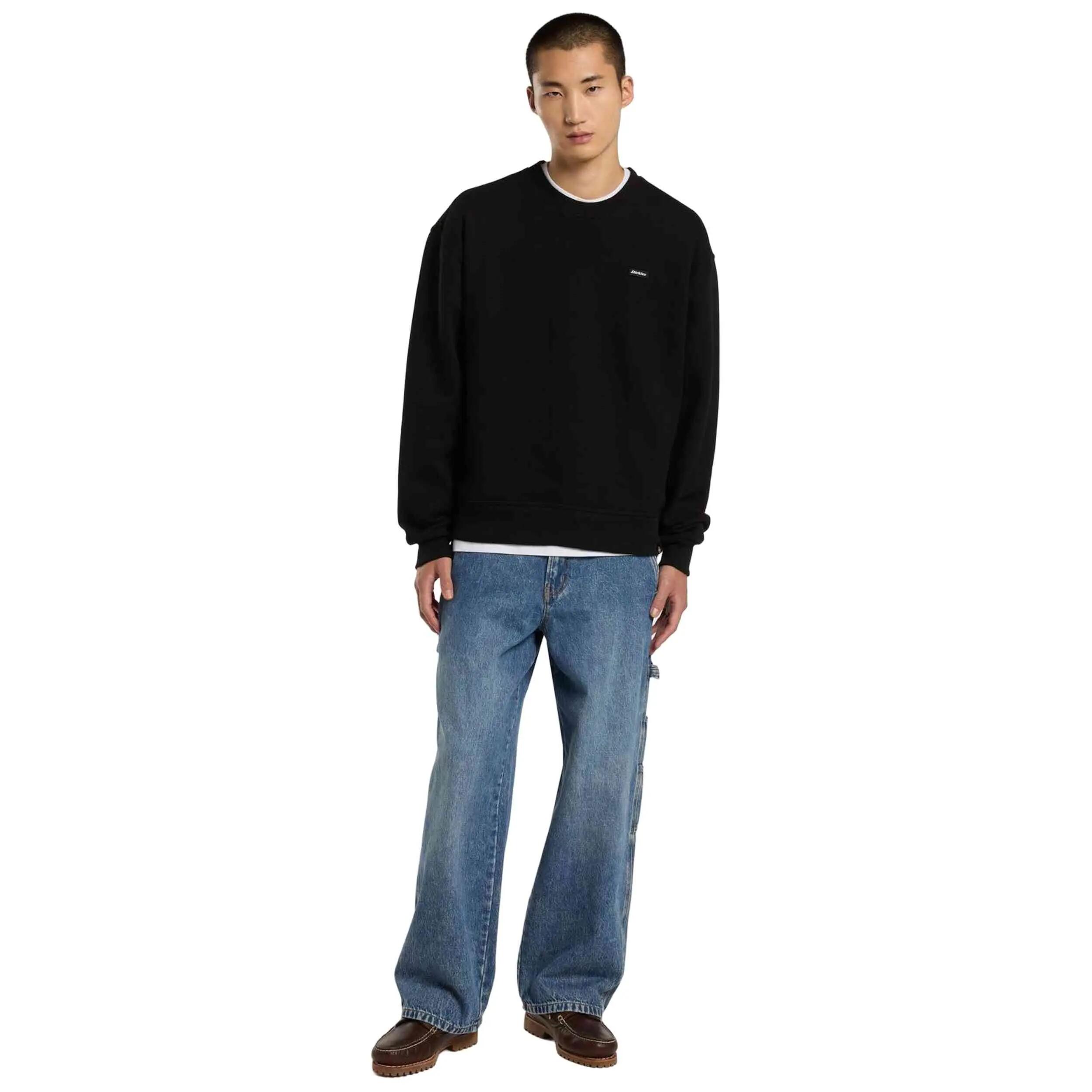 Sweater Dickies model Clancy voor unisex 5/5
