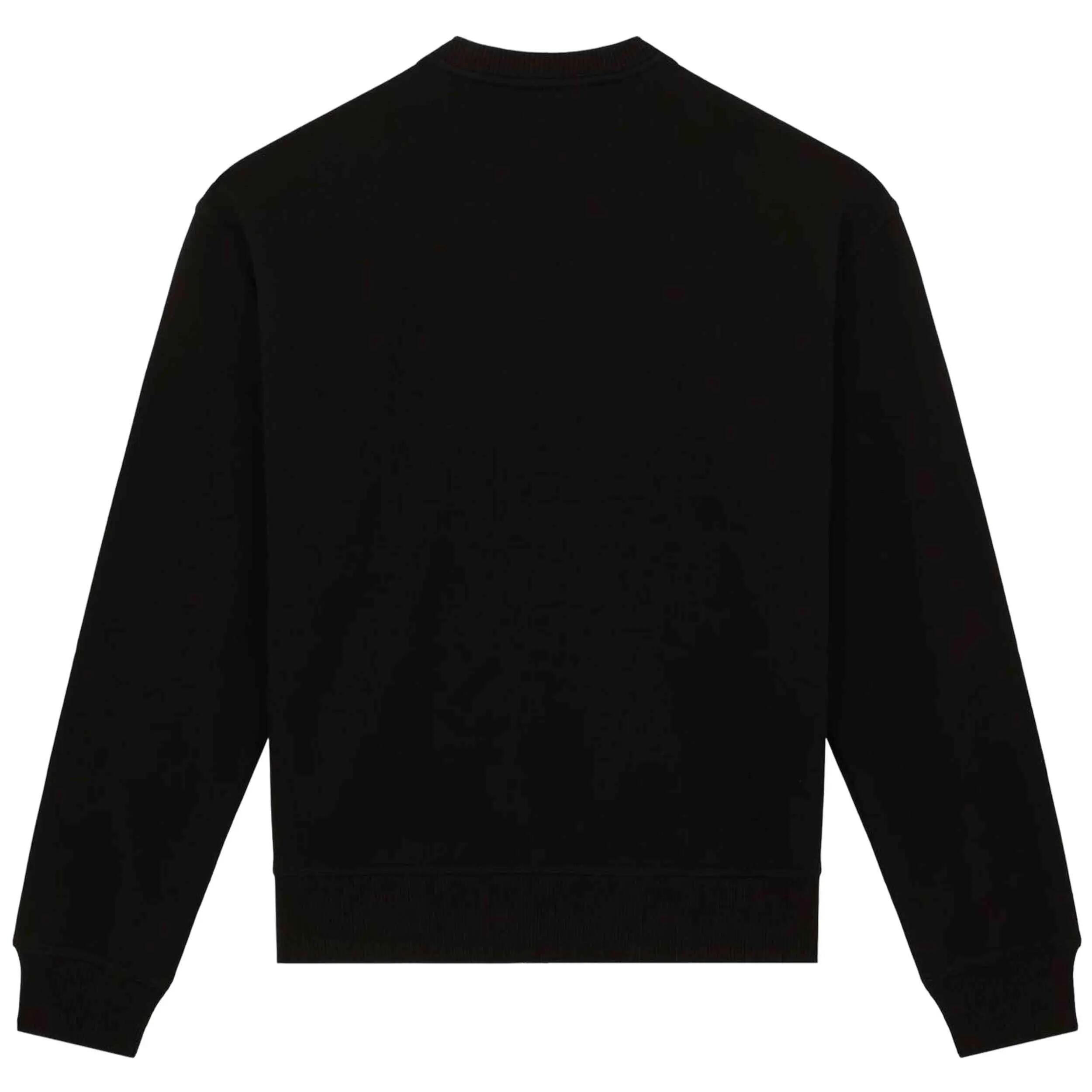 Sweater Dickies model Clancy voor unisex 2/5