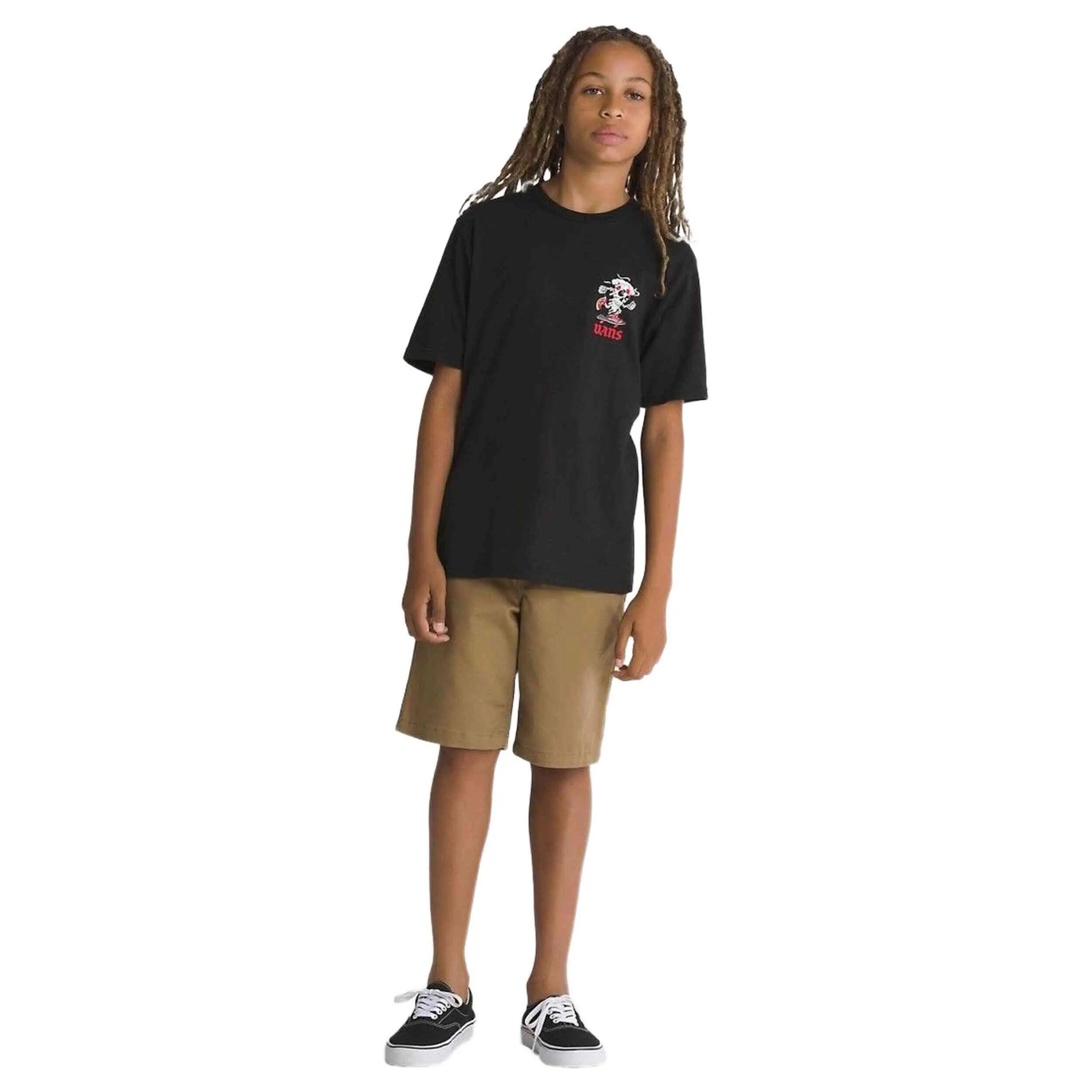 VANS picture