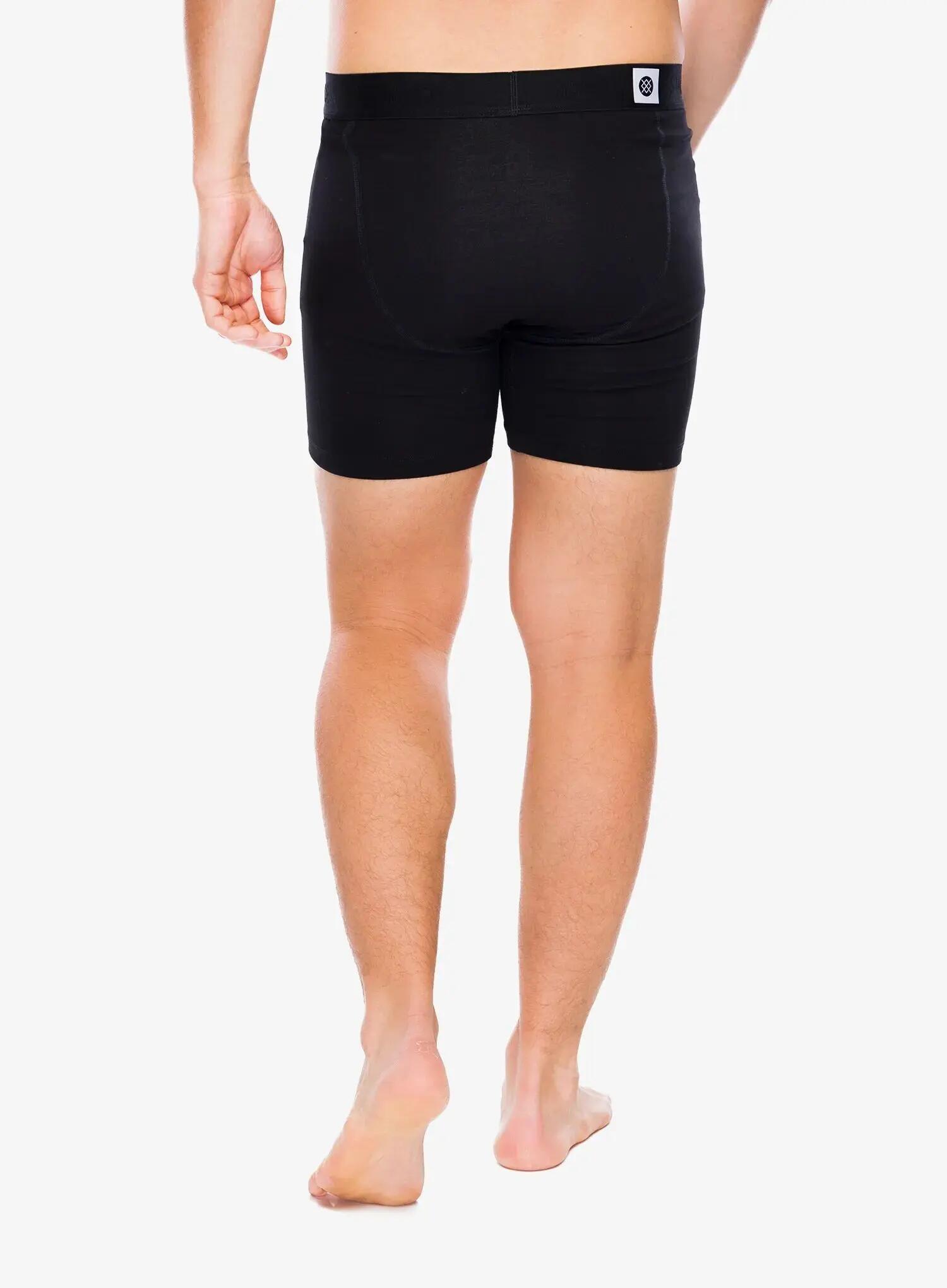 Bokserki termoaktywne Stance Standard 6in Boxer Brief 2/5